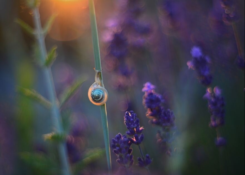 Nature In Spring, Summer, And Autumn: My 20 Photos By Me