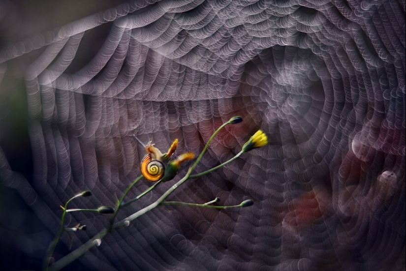 Nature In Spring, Summer, And Autumn: My 20 Photos By Me