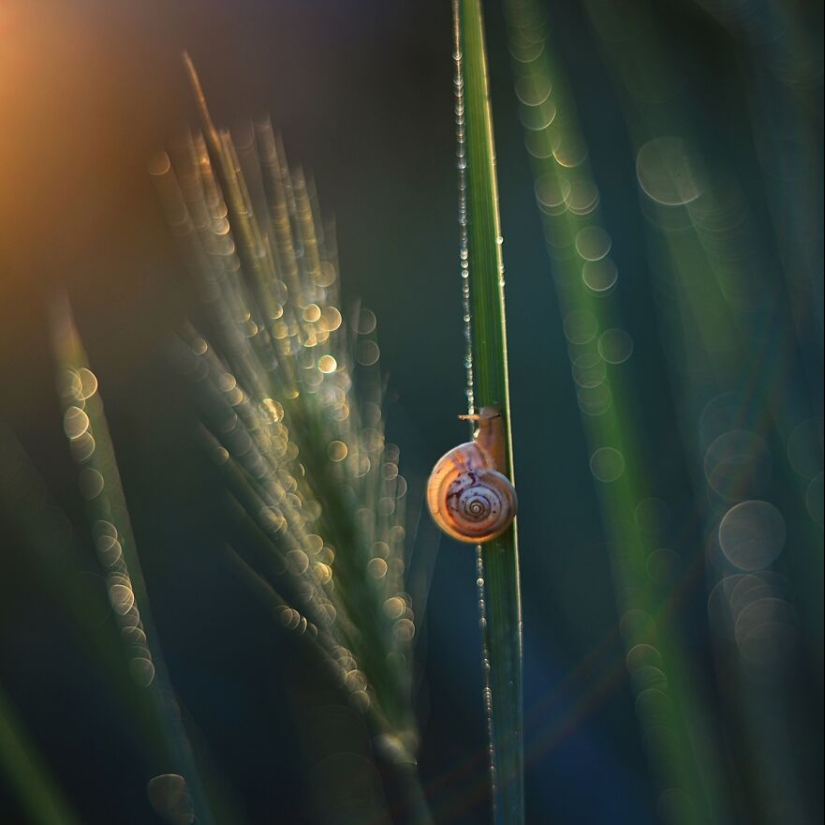 Nature In Spring, Summer, And Autumn: My 20 Photos By Me