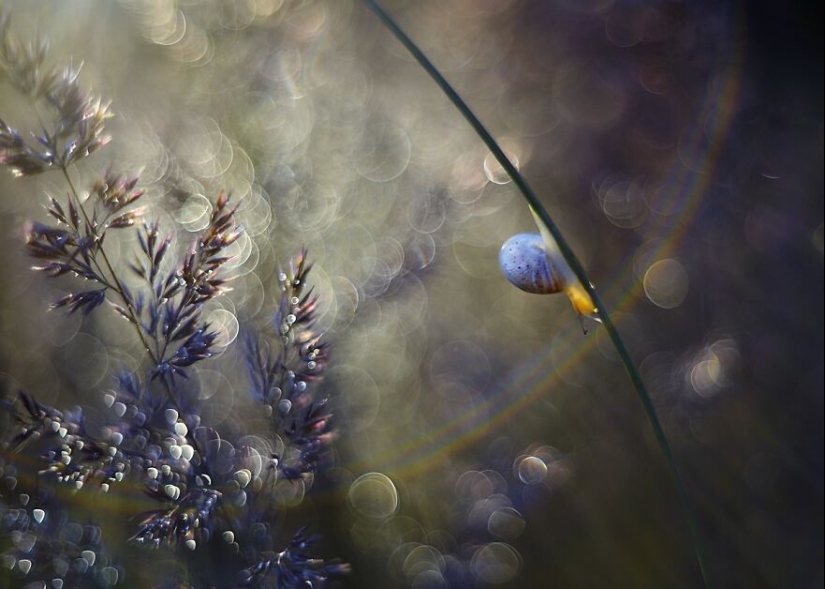 Nature In Spring, Summer, And Autumn: My 20 Photos By Me