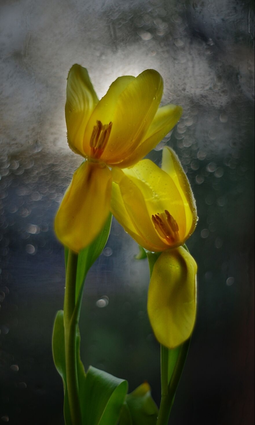 Nature In Spring, Summer, And Autumn: My 20 Photos By Me