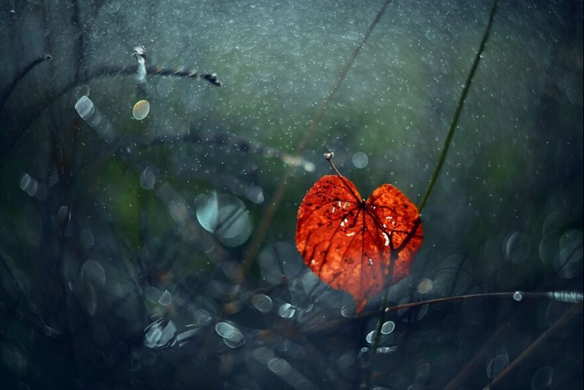 Nature In Spring, Summer, And Autumn: My 20 Photos By Me