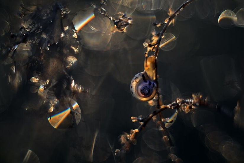 Nature In Spring, Summer, And Autumn: My 20 Photos By Me