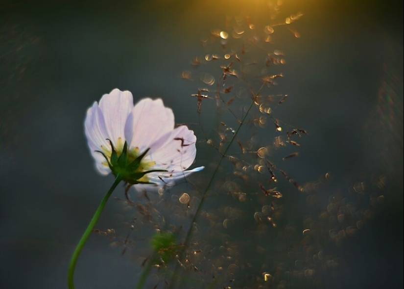 Nature In Spring, Summer, And Autumn: My 20 Photos By Me