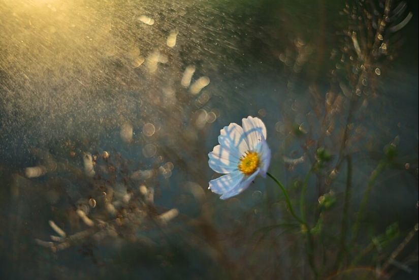 Nature In Spring, Summer, And Autumn: My 20 Photos By Me