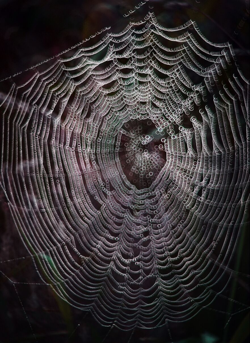 Nature In Spring, Summer, And Autumn: My 20 Photos By Me