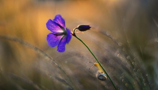 Nature In Spring, Summer, And Autumn: My 20 Photos By Me