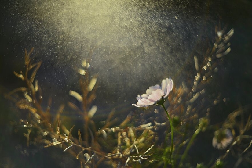 Nature In Spring, Summer, And Autumn: My 20 Photos By Me