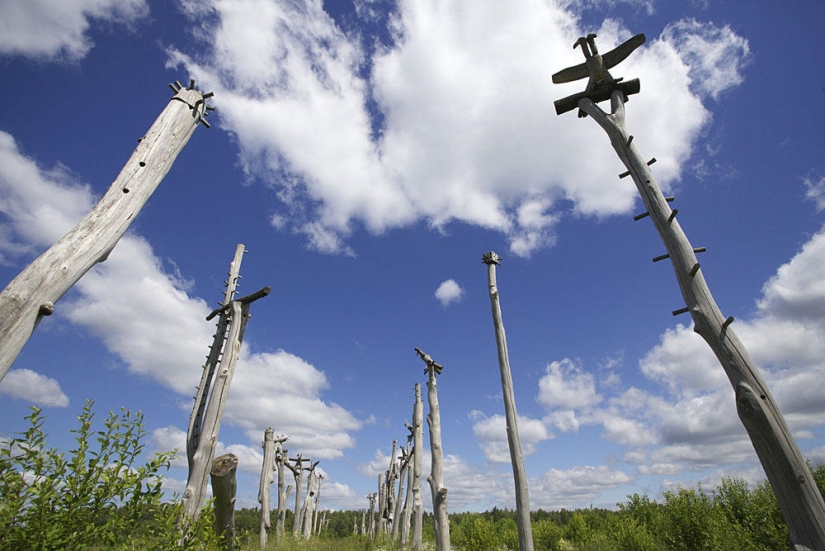 Negocio inusual. Nikola Lenivets