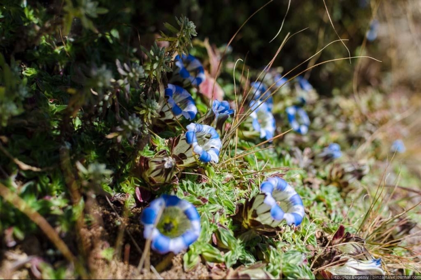 Nepal. "Capital of Sherland" Nepal. "Capital of Sherland"