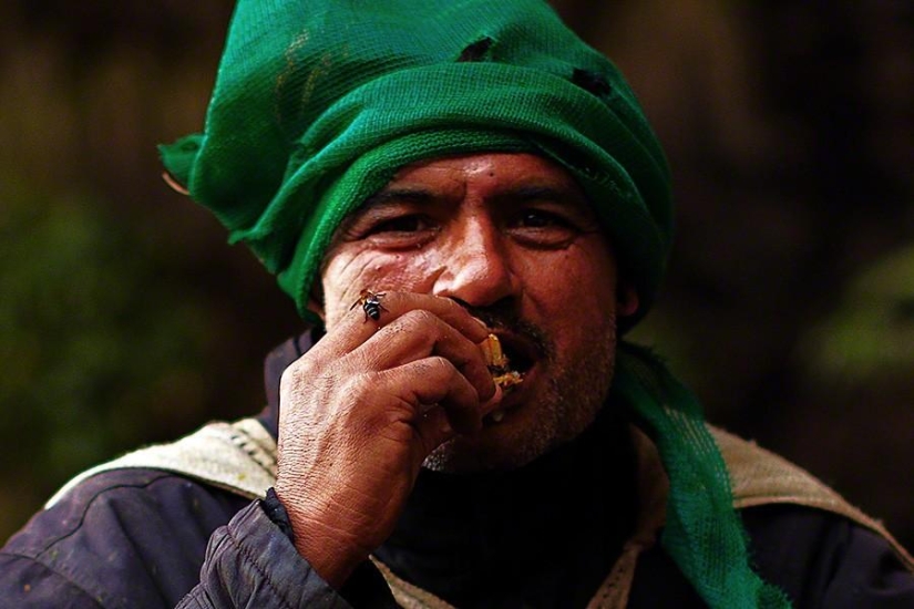 Nepalese honey hunters
