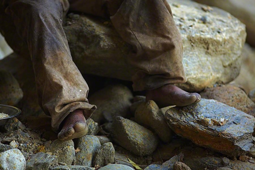Nepalese honey hunters