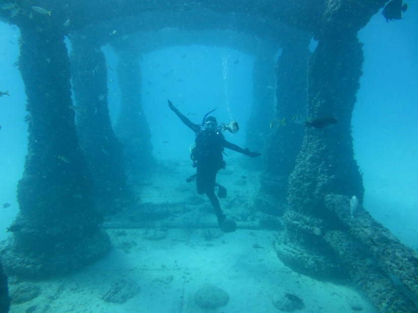 Neptune Memorial: an underwater cemetery off the coast of Florida