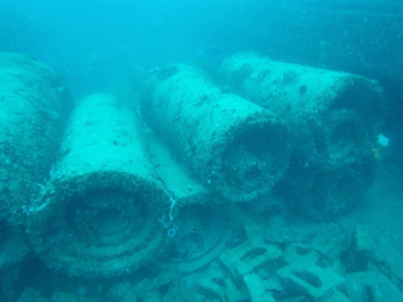 Neptune Memorial: an underwater cemetery off the coast of Florida