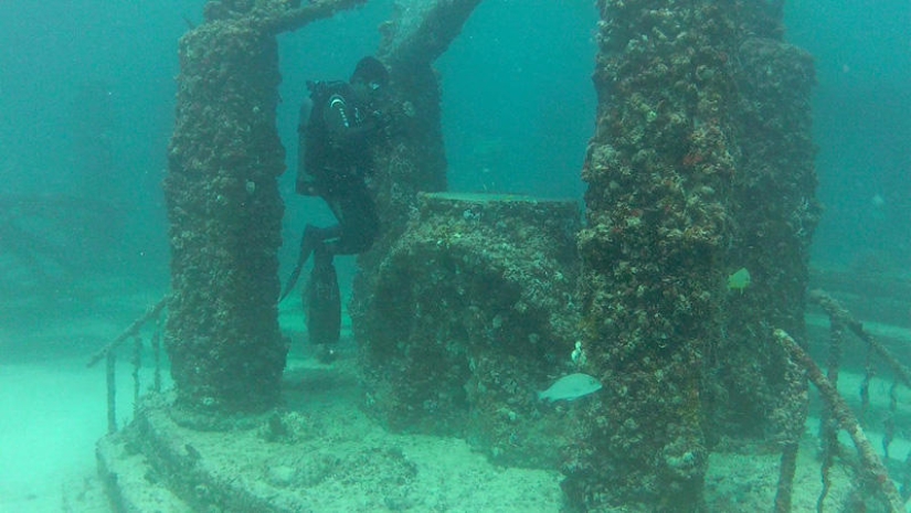 Neptune Memorial: an underwater cemetery off the coast of Florida