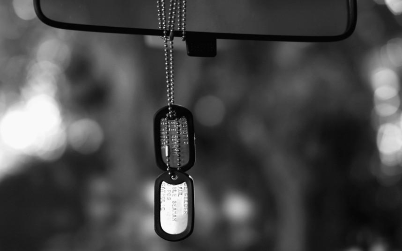 Never Give Up, or Life After a Shark Attack Never Give Up, or Life After a Shark Attack