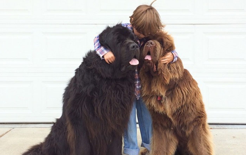 New Bremen Town Musicians