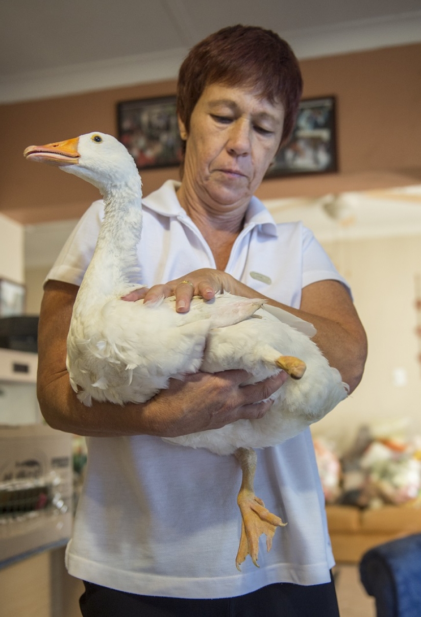 New life with a new 3D foot New life with a new 3D foot