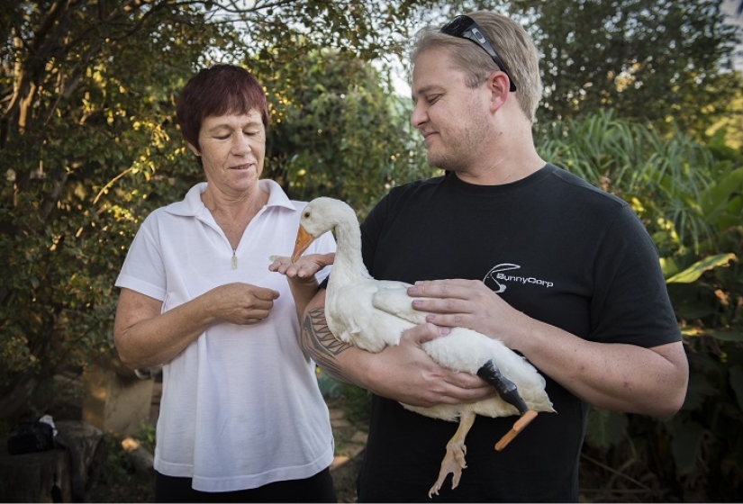 New life with a new 3D foot New life with a new 3D foot