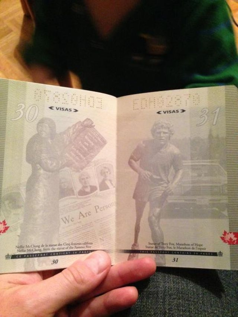 New passport of a citizen of Canada in the light of ultraviolet New passport of a citizen of Canada in the light of ultraviolet