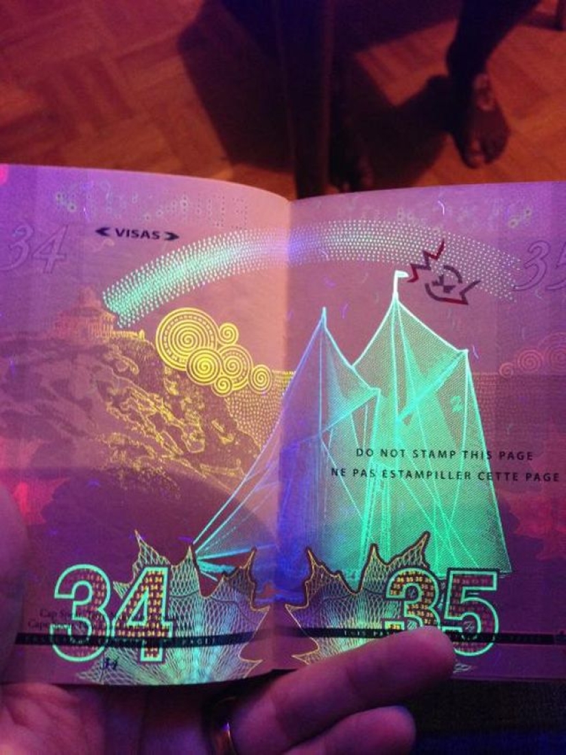 New passport of a citizen of Canada in the light of ultraviolet New passport of a citizen of Canada in the light of ultraviolet