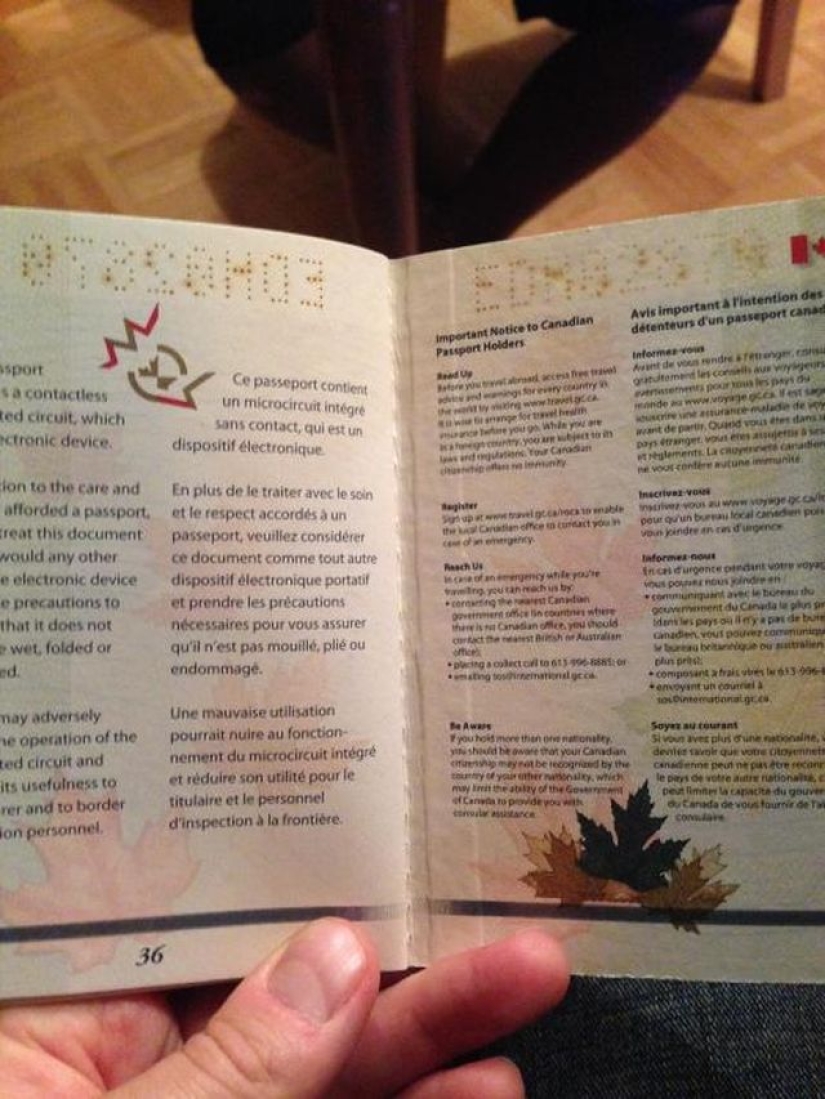 New passport of a citizen of Canada in the light of ultraviolet New passport of a citizen of Canada in the light of ultraviolet