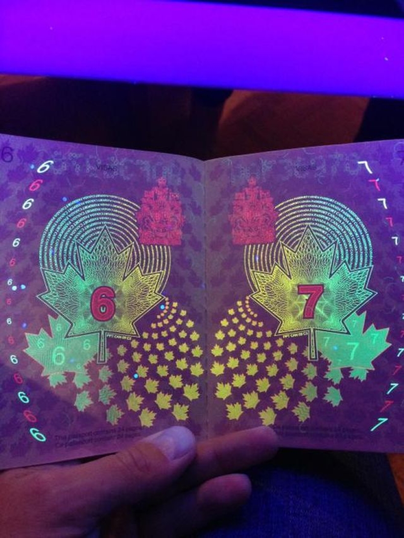 New passport of a citizen of Canada in the light of ultraviolet New passport of a citizen of Canada in the light of ultraviolet