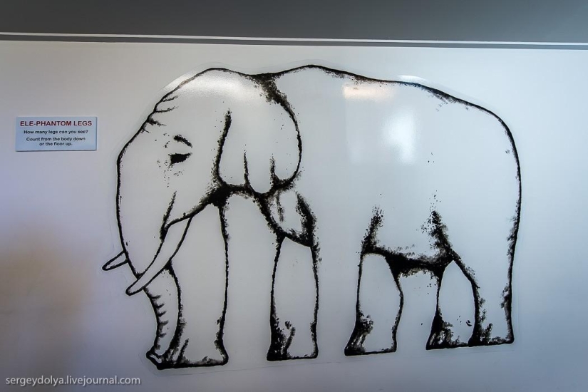 New Zealand. Puzzling World