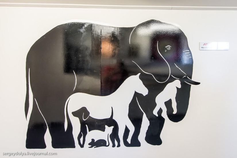 New Zealand. Puzzling World