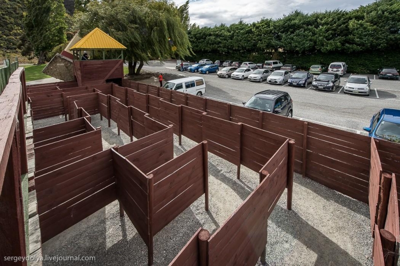 New Zealand. Puzzling World