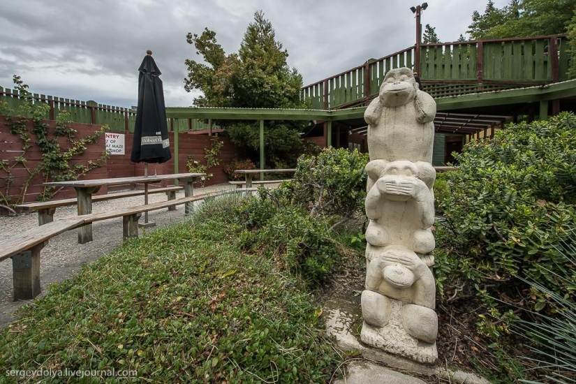 New Zealand. Puzzling World