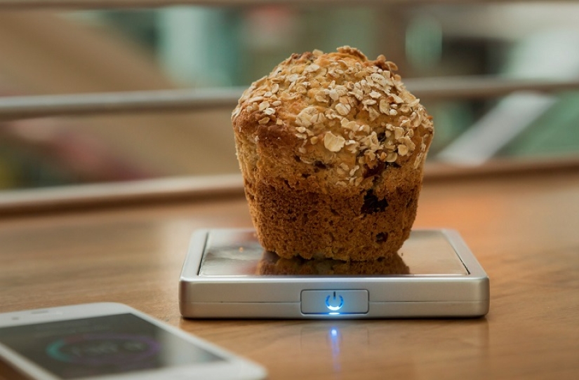 News for the ssbbw club: portable micro scales will track your diet!