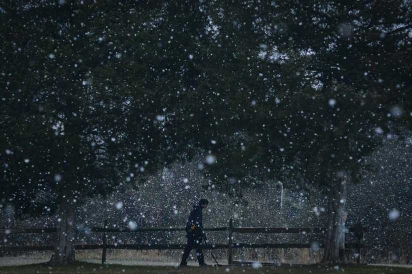 News in pictures: at the turn of 2013 and 2014