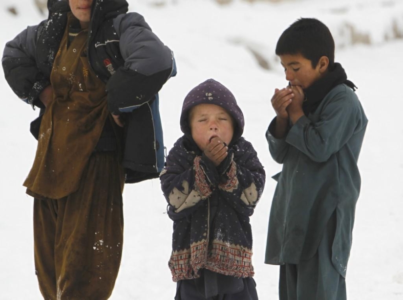 News in pictures: at the turn of 2013 and 2014