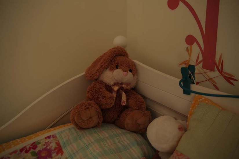 Ni un solo oso de peluche: juguetes favoritos de niños de diferentes países