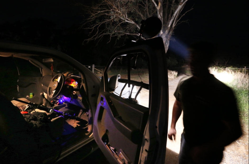 Night hunting for kangaroos in Australia Night hunting for kangaroos in Australia