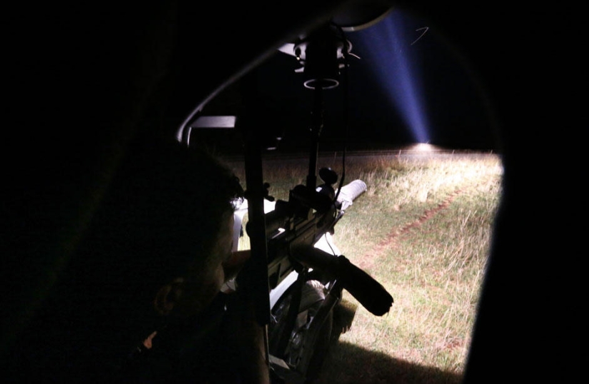 Night hunting for kangaroos in Australia Night hunting for kangaroos in Australia