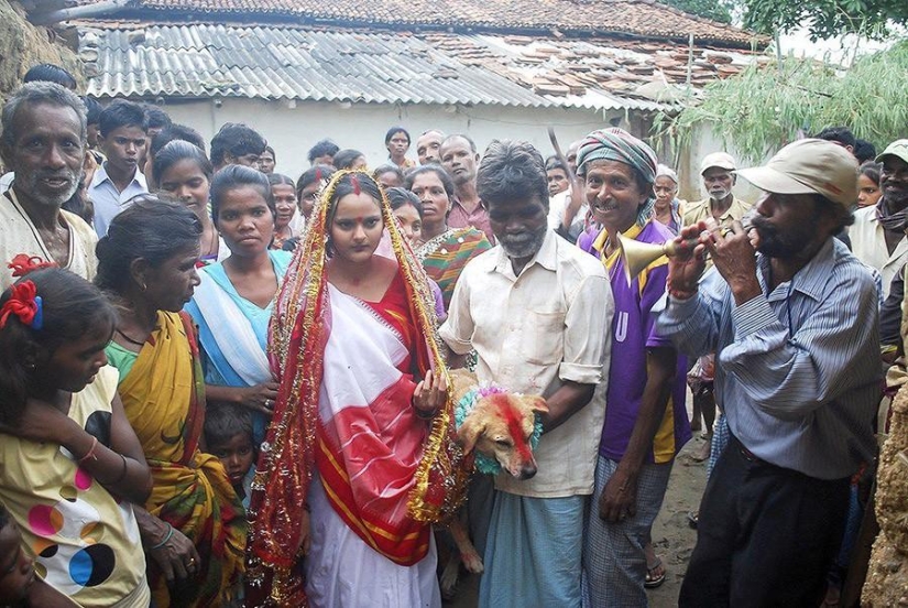 Niña india se casa con perro para romper maldición Niña india se casa con perro para romper maldición