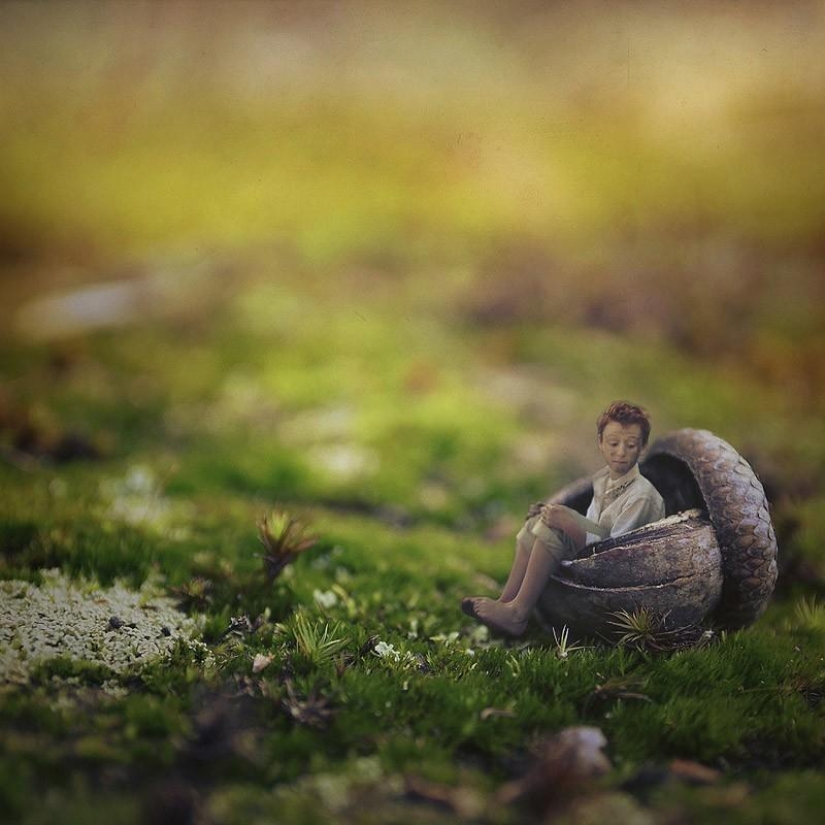 Niño de 14 años es un genio de la fotografía.