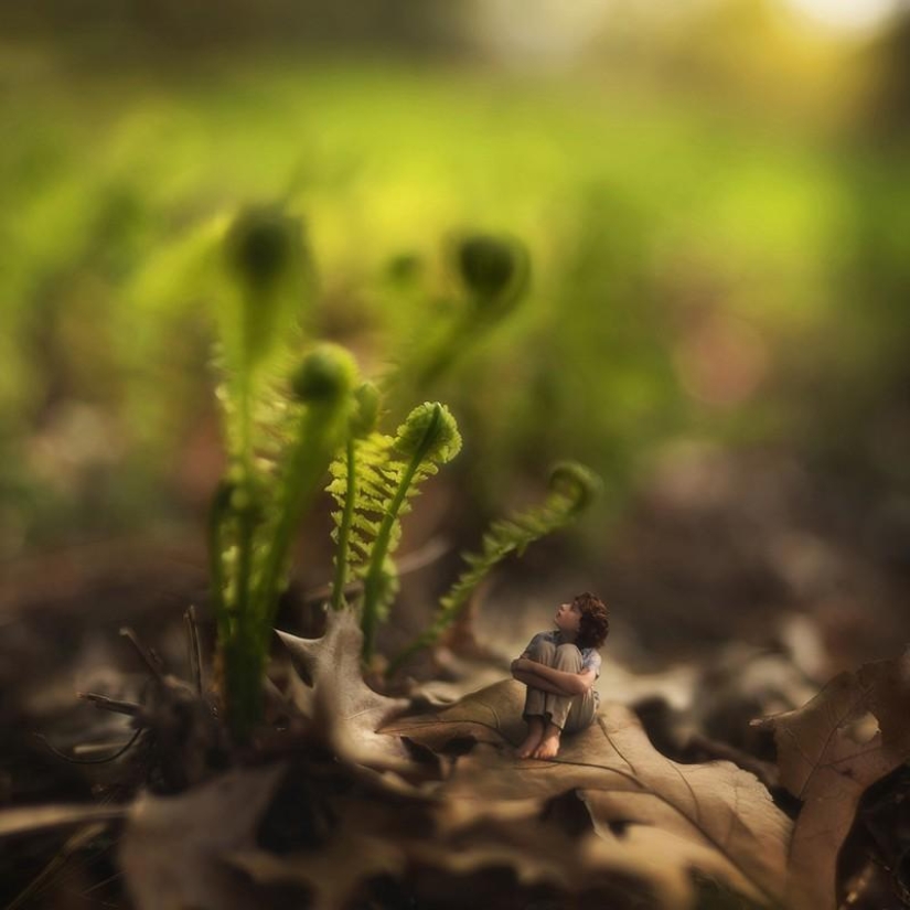 Niño de 14 años es un genio de la fotografía.