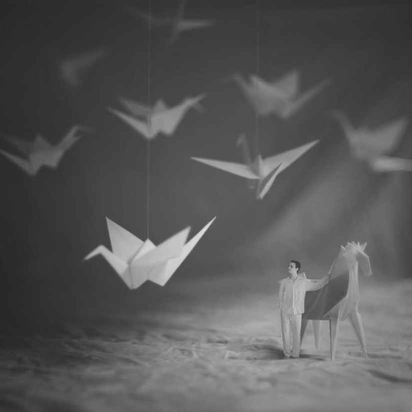 Niño de 14 años es un genio de la fotografía.