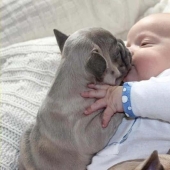 Niño y cachorros. Publicación de ternura escandalosa