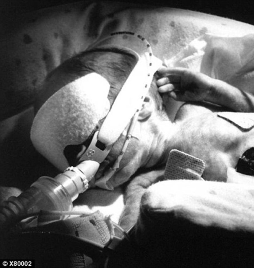 Niños de siete años de los Estados Unidos vivieron para terminar la escuela Niños de siete años de los Estados Unidos vivieron para terminar la escuela