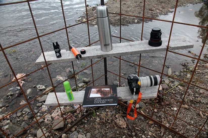 Niños en una jaula, o cómo acabamos cara a cara con osos