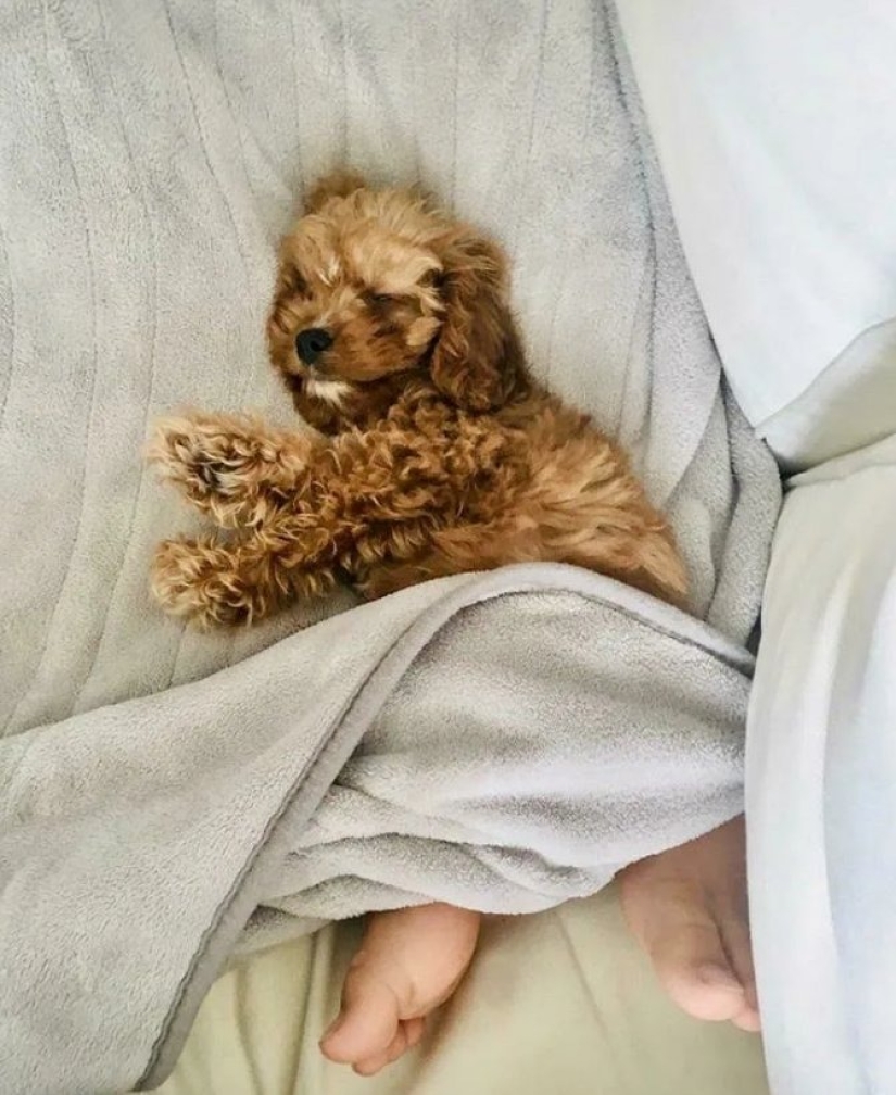 No creas en tus ojos: fotos asombrosas que te harán mirar dos veces No creas en tus ojos: fotos asombrosas que te harán mirar dos veces