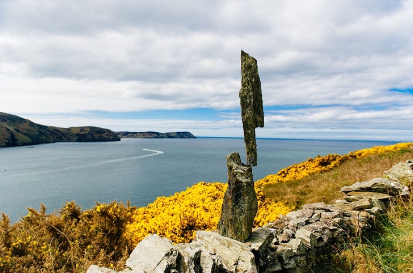 ¿No dejar piedra sin remover? ¿No dejar piedra sin remover?
