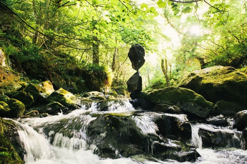 ¿No dejar piedra sin remover? ¿No dejar piedra sin remover?