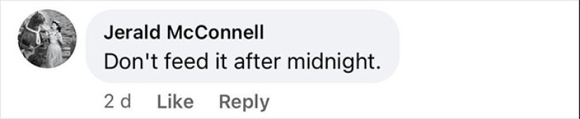 “No encajaba con las reglas artísticas”: figura aterradora desenterrada de una obra de arte del siglo XVIII