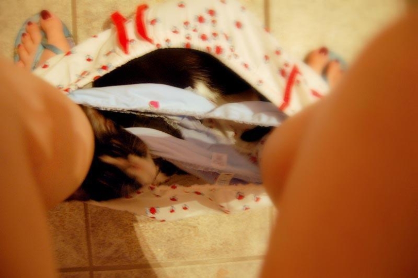 No te separes de tus seres queridos: mascotas en el baño...