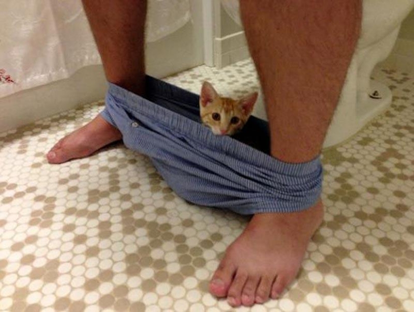 No te separes de tus seres queridos: mascotas en el baño...